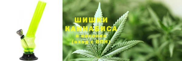 индика Богданович