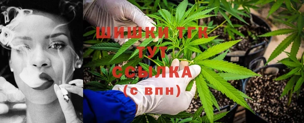 индика Богданович